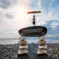 免‍费‍AI写﻿作﻿系‌统​